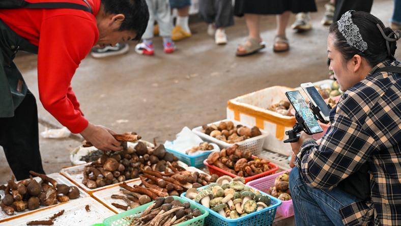 “疯狂”的夏至菇